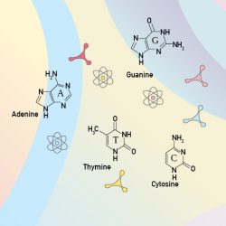 Cindy — Curriculum Director