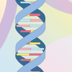 The Digital & Creative Team