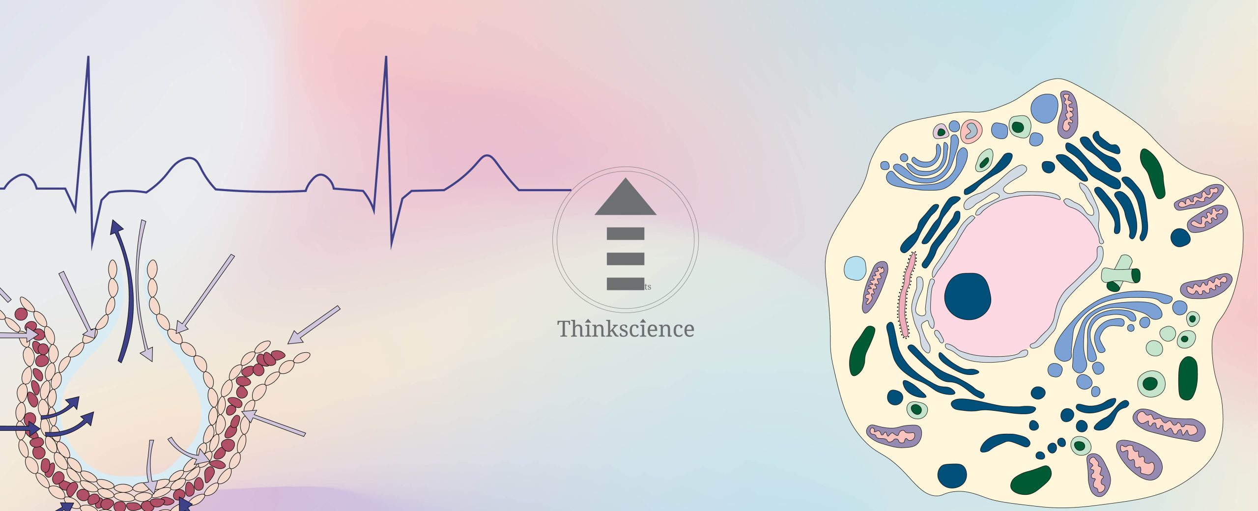 Prinngle Science Primary Science Tuition Singapore | Thinkscience